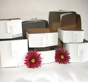 888 Display USA Acrylic Rectangular Box - 10 Boxes (2 x 1 x 3/4)
