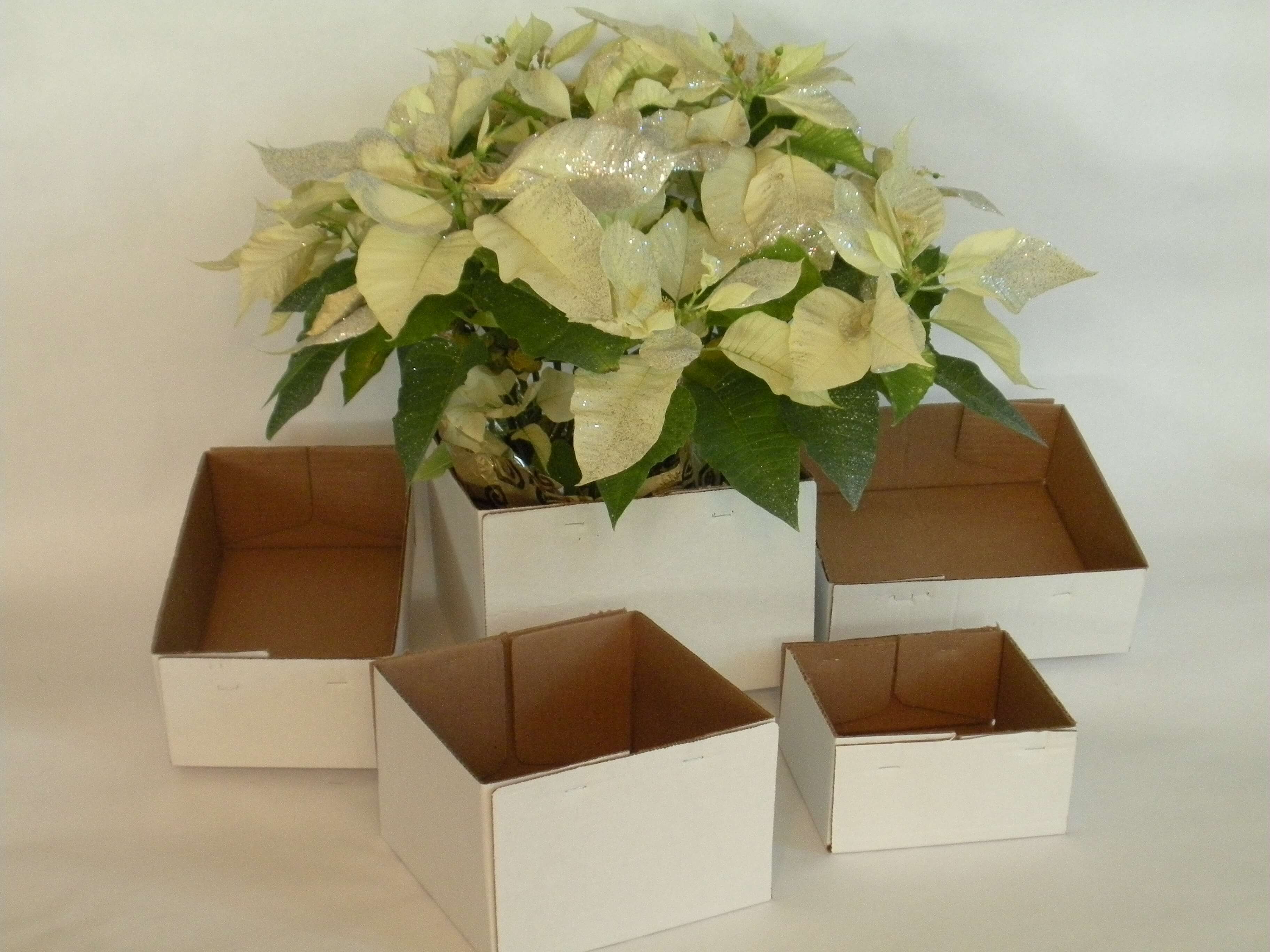 Floral Boxes – Boxes Sleeves and More