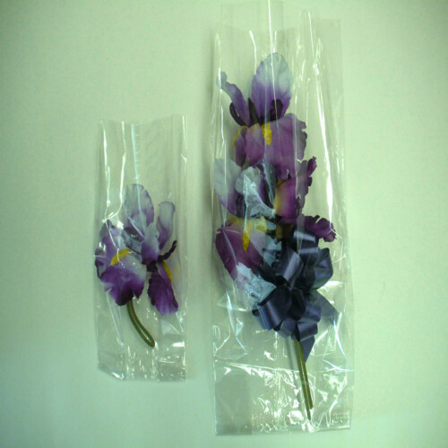 Floral Clear Bags